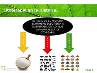 Page 4
Fitoterapia en la Historia.
AL INICIO DE SU HISTORIA
EL HOMBRE SOLO TENIA A
SU DISPOSICION LO QUE
LA NATURALEZA LE
OTORGABA:
M
I
N
E
R
A
L
A
N
I
M
A
L
V
E
G
E
T
A
L
 