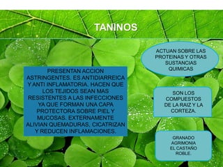 Page 44
ACTUAN SOBRE LAS
PROTEINAS Y OTRAS
SUSTANCIAS
QUIMICAS
GRANADO
AGRIMONIA
EL CASTAÑO
ROBLE.
PRESENTAN ACCION
ASTRINGENTES. ES ANTIDIARREICA
Y ANTI INFLAMATORIA. HACEN QUE
LOS TEJIDOS SEAN MAS
RESISTENTES A LAS INFECCIONES
YA QUE FORMAN UNA CAPA
PROTECTORA SOBRE PIEL Y
MUCOSAS. EXTERNAMENTE
ALIVIAN QUEMADURAS, CICATRIZAN
Y REDUCEN INFLAMACIONES.
TANINOS
SON LOS
COMPUESTOS
DE LA RAIZ Y LA
CORTEZA.
 