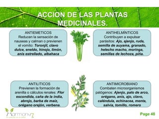 Page 48
ANTIMICROBIANO
Combaten microorganismos
patógenos: Ajenjo, palo de arco,
orégano, anís, ajo, clavo,
caléndula, echinacea, menta,
salvia, tomillo, romero
ANTIHELMÍNTICOS
Contribuyen a expulsar
parásitos: Ajo, ajenjo, ruda,
semilla de auyama, granado,
helecho macho, moringa,
semillas de lechoza, piña.
ANTILITICOS
Previenen la formación de
arenilla o cálculos renales: Flor
escondida, caña de la india,
abrojo, barba de maíz,
orégano orejón, verbena.
ANTIEMETICOS
Reducen la sensación de
nauseas y calman o previenen
el vomito: Toronjil, clavo
dulce, eneldo, hinojo, limón,
anís estrellado, albahaca
ACCION DE LAS PLANTAS
MEDICINALES.
 