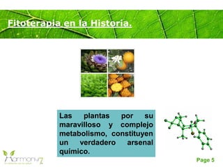 Page 5
Fitoterapia en la Historia.
Las plantas por su
maravilloso y complejo
metabolismo, constituyen
un verdadero arsenal
químico.
 
