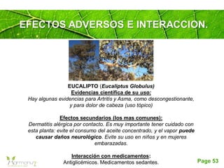 Page 53
EFECTOS ADVERSOS E INTERACCION.
EUCALIPTO (Eucaliptus Globulus)
Evidencias científica de su uso:
Hay algunas evidencias para Artritis y Asma, como descongestionante,
y para dolor de cabeza (uso tópico)
Efectos secundarios (los mas comunes):
Dermatitis alérgica por contacto. Es muy importante tener cuidado con
esta planta: evite el consumo del aceite concentrado, y el vapor puede
causar daños neurológico. Evite su uso en niños y en mujeres
embarazadas.
Interacción con medicamentos:
Antiglicémicos. Medicamentos sedantes.
 