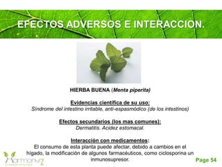Page 54
EFECTOS ADVERSOS E INTERACCION.
HIERBA BUENA (Menta piperita)
Evidencias científica de su uso:
Síndrome del intestino irritable, anti-espasmódico (de los intestinos)
Efectos secundarios (los mas comunes):
Dermatitis. Acidez estomacal.
Interacción con medicamentos:
El consumo de esta planta puede afectar, debido a cambios en el
hígado, la modificación de algunos farmacéuticos, como ciclosporina un
inmunosupresor.
 