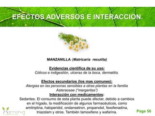 Page 56
EFECTOS ADVERSOS E INTERACCION.
MANZANILLA (Matricaria recutita)
Evidencias científica de su uso:
Cólicos e indigestión, ulceras de la boca, dermatitis.
Efectos secundarios (los mas comunes):
Alergias en las personas sensibles a otras plantas en la familia
Asteraceae (“margaritas”)
Interacción con medicamentos:
Sedantes. El consumo de esta planta puede afectar, debido a cambios
en el hígado, la modificación de algunos farmacéuticos, como
amitriptina, haloperidol, ondansetron, propanolol, fexofenadina,
triazolam y otros. También tamoxifeno y wafarina.
 