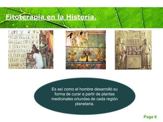 Page 6
Fitoterapia en la Historia.
Es así como el hombre desarrolló su
forma de curar a partir de plantas
medicinales oriundas de cada región
planetaria.
 