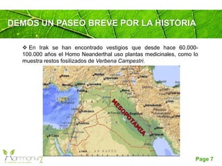 Page 7
DEMOS UN PASEO BREVE POR LA HISTORIA
 En Irak se han encontrado vestigios que desde hace 60.000-
100.000 años el Homo Neanderthal uso plantas medicinales, como lo
muestra restos fosilizados de Verbena Campestri.
 