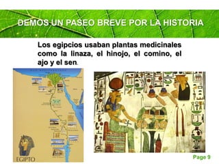 Page 9
DEMOS UN PASEO BREVE POR LA HISTORIA
Los egipcios usaban plantas medicinales
como la linaza, el hinojo, el comino, el
ajo y el sen.
 
