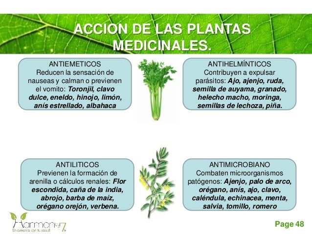 Fitoterapia Basica