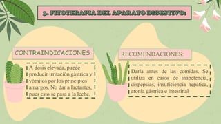 A dosis elevada, puede
producir irritación gástrica y
vómitos por los principios
amargos. No dar a lactantes,
pues esto se pasa a la leche.
CONTRAINDICACIONES
Darla antes de las comidas. Se
utiliza en casos de inapetencia,
dispepsias, insuficiencia hepática,
atonía gástrica e intestinal
RECOMENDACIONES:
 