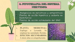 1. PLANTA MEDICINAL:
Espliego o Lavanda. Se
emplean las sumidades floridas.
2. EFECTOS SECUNDARIOS:
A dosis altas es estupefaciente.
 