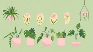 FITOTERAPIA DIAPOSITIVA.pdf