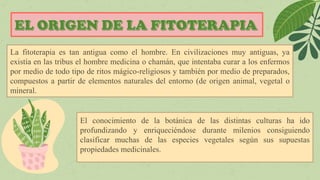 La fitoterapia es tan antigua como el hombre. En civilizaciones muy antiguas, ya
existía en las tribus el hombre medicina o chamán, que intentaba curar a los enfermos
por medio de todo tipo de ritos mágico-religiosos y también por medio de preparados,
compuestos a partir de elementos naturales del entorno (de origen animal, vegetal o
mineral.
El conocimiento de la botánica de las distintas culturas ha ido
profundizando y enriqueciéndose durante milenios consiguiendo
clasificar muchas de las especies vegetales según sus supuestas
propiedades medicinales.
 