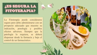 La Fitoterapia puede considerarse
segura pero debe administrarse con un
prospecto adecuado que muestre su
indicación, posología y posibles
efectos adversos. Siempre que la
patología lo requiera, se deberá
dispensar desde la farmacia y bajo el
control de un farmacéutico.
 