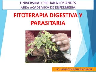 FITOTERAPIA DIGESTIVA Y
PARASITARIA
LIC. MARGOTH AGUILAR CUEVAS
 