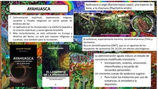 AYAHUASCA
 Comunicación espiritual, experiencias mágicas,
curación y rituales religiosos en varios países de
América del Sur .
 La ayahuasca se ha incorporado a la medicina popular y
la curación espiritual, y varias iglesias brasileña
 Más recientemente, se está utilizando en Europa y
América del Norte, no solo por razones religiosas o
curativas, sino también para la recreación.
Ayahuasca o yagé (Banisteriopsis caapi), una especie de
liana, y la chacruna (Psychotria viridis)
La administración aguda induce un estado de
conciencia modificado transitorio :
• Introspección, visiones, emociones
intensificadas y recuerdo de
recuerdos personales.
Un creciente cuerpo de evidencia sugiere:
• Para tratar los trastornos por uso de
sustancias, la ansiedad y la
depresión.
β-carbolinas, especialmente harmina, tetrahidroharmina (THH) y
harmalina.
Rica en dimetiltriptamina (DMT), que es un agonista de los
receptores de serotonina 2A, 2C/1A con efectos alucinógenos.
 