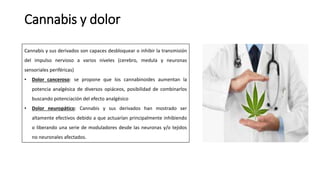 Cannabis y dolor
Cannabis y sus derivados son capaces desbloquear o inhibir la transmisión
del impulso nervioso a varios niveles (cerebro, medula y neuronas
sensoriales periféricas)
• Dolor canceroso: se propone que los cannabinoides aumentan la
potencia analgésica de diversos opiáceos, posibilidad de combinarlos
buscando potenciación del efecto analgésico
• Dolor neuropático: Cannabis y sus derivados han mostrado ser
altamente efectivos debido a que actuarían principalmente inhibiendo
o liberando una serie de moduladores desde las neuronas y/o tejidos
no neuronales afectados.
 