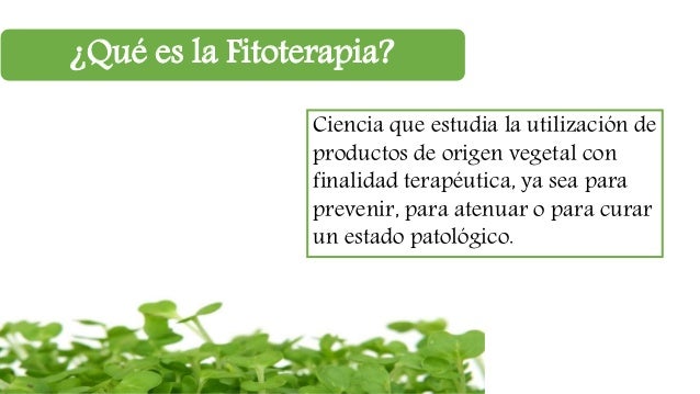 Fitoterapia en el Tratamiento de la Diabetes Tipo II Fitoterapia en el Tratamiento de la Diabetes Tipo II