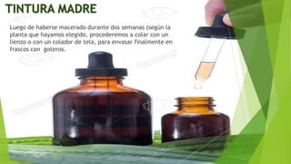 TINTURA MADRE
Luego de haberse macerado durante dos semanas (según la
planta que hayamos elegido, procederemos a colar con un
lienzo o con un colador de tela, para envasar finalmente en
frascos con goteros.
 