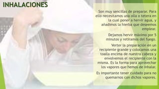 INHALACIONES
Son muy sencillas de preparar. Para
ello necesitamos una olla o tetera en
la cual poner a hervir agua, y
añadimos la hierba que deseemos
emplear.
Dejamos hervir máximo por 5
minutos y retiramos del fuego.
Verter la preparación en un
recipiente grande y colocamos una
toalla encima de nuestra cabeza y
envolvemos el recipiente con la
misma. Es la forma para aprovechar
los vapores que hemos de inhalar.
Es importante tener cuidado para no
quemarnos con dichos vapores.
 