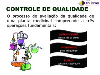 CONTROLE DE QUALIDADE
O processo de avaliação da qualidade de
uma planta medicinal compreende a três
operações fundamentais:
AUTENTICIDADE
identidade da planta

INTEGRIDADE
perfil fitoquímico

PUREZA
contaminação/fraude

 