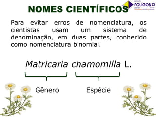 NOMES CIENTÍFICOS
Para evitar erros de nomenclatura, os
cientistas
usam
um
sistema
de
denominação, em duas partes, conhecido
como nomenclatura binomial.

Matricaria chamomilla L.
Gênero

Espécie

 