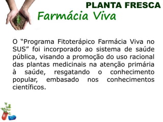 PLANTA FRESCA

O “Programa Fitoterápico Farmácia Viva no
SUS” foi incorporado ao sistema de saúde
pública, visando a promoção do uso racional
das plantas medicinais na atenção primária
à saúde, resgatando o conhecimento
popular, embasado nos conhecimentos
científicos.

 