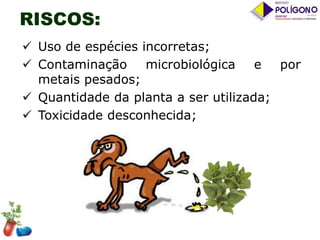 RISCOS:
 Uso de espécies incorretas;
 Contaminação
microbiológica
e
por
metais pesados;
 Quantidade da planta a ser utilizada;
 Toxicidade desconhecida;

 