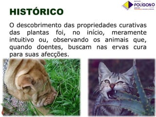 HISTÓRICO
O descobrimento das propriedades curativas
das plantas foi, no início, meramente
intuitivo ou, observando os animais que,
quando doentes, buscam nas ervas cura
para suas afecções.

 