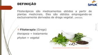 Márcio
DEFINIÇÃO
Fitoterápicos são medicamentos obtidos a partir de
plantas medicinais. Eles são obtidos empregando-se
exclusivamente derivados de droga vegetal. (ANVISA)
 Fitoterapia (Grego)
therapeia = tratamento
phyton = vegetal
http://www.hierbaluisa.info/var/ba/53155/480723-herbolario-hierba-luisa-productos-biologicos.jpg
 