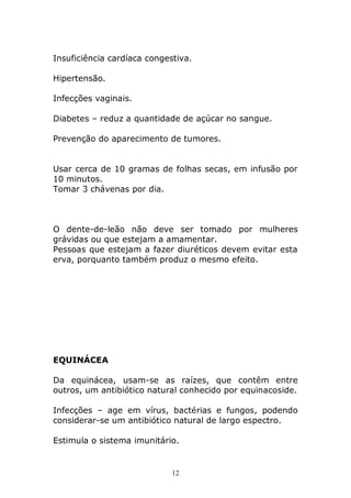 Insuficiência cardíaca congestiva.
Hipertensão.
Infecções vaginais.
Diabetes – reduz a quantidade de açúcar no sangue.
Prevenção do aparecimento de tumores.
Usar cerca de 10 gramas de folhas secas, em infusão por
10 minutos.
Tomar 3 chávenas por dia.

O dente-de-leão não deve ser tomado por mulheres
grávidas ou que estejam a amamentar.
Pessoas que estejam a fazer diuréticos devem evitar esta
erva, porquanto também produz o mesmo efeito.

EQUINÁCEA
Da equinácea, usam-se as raízes, que contêm entre
outros, um antibiótico natural conhecido por equinacoside.
Infecções – age em vírus, bactérias e fungos, podendo
considerar-se um antibiótico natural de largo espectro.
Estimula o sistema imunitário.

12

 