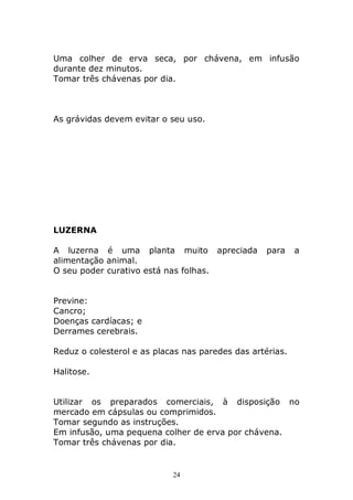 Uma colher de erva seca, por chávena, em infusão
durante dez minutos.
Tomar três chávenas por dia.

As grávidas devem evitar o seu uso.

LUZERNA
A luzerna é uma planta muito apreciada
alimentação animal.
O seu poder curativo está nas folhas.

para

a

Previne:
Cancro;
Doenças cardíacas; e
Derrames cerebrais.
Reduz o colesterol e as placas nas paredes das artérias.
Halitose.
Utilizar os preparados comerciais, à disposição no
mercado em cápsulas ou comprimidos.
Tomar segundo as instruções.
Em infusão, uma pequena colher de erva por chávena.
Tomar três chávenas por dia.

24

 