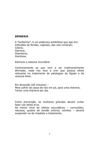 BÉRBERIS
A “berberina”, é um poderoso antibiótico que age em:
Infecções de feridas, vaginais, das vias urinárias;
Cólera;
Diarreia;
Disenteria;
Giardiose.
Estimula o sistema imunitário
Contrariamente ao que vem a ser tradicionalmente
afirmado, nada nos leva a crer que possua efeito
relevante no tratamento de patologias do fígado e da
vesícula biliar.
Em decocção (20 minutos) –
Meia colher de casca de raiz em pó, para uma chávena.
Tomar uma chávena por dia.

Como prevenção, as mulheres grávidas devem evitar
fazer uso desta erva.
Ao menor sinal de efeitos secundários – convulsões,
náuseas, quebra de tensão arterial, vómitos – deverá
suspender-se de imediato o tratamento.

9

 