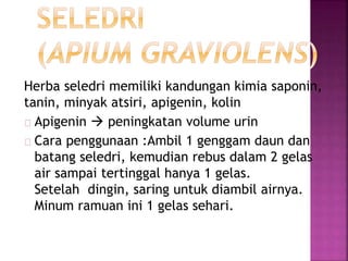Herba seledri memiliki kandungan kimia saponin, 
tanin, minyak atsiri, apigenin, kolin 
Apigenin  peningkatan volume urin 
Cara penggunaan :Ambil 1 genggam daun dan 
batang seledri, kemudian rebus dalam 2 gelas 
air sampai tertinggal hanya 1 gelas. 
Setelah dingin, saring untuk diambil airnya. 
Minum ramuan ini 1 gelas sehari. 
 