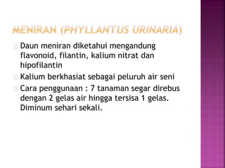 Daun meniran diketahui mengandung 
flavonoid, filantin, kalium nitrat dan 
hipofilantin 
Kalium berkhasiat sebagai peluruh air seni 
Cara penggunaan : 7 tanaman segar direbus 
dengan 2 gelas air hingga tersisa 1 gelas. 
Diminum sehari sekali. 
 