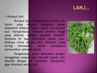  Rumput laut 
Rumput laut mengandung kalium dan 
taurin yang mampu mengatur kadar 
kolesterol didalam tubuh. Selain itu rumput 
laut mengandung senyawa protein tinggi 
yang dikenal sebagai peptida bioaktif. 
Senyawa ini juga ditemukan dalam susu. 
Efeknya mirip dengan ACE inhibitor, yang 
sering diresepkan untuk membantu 
menurunkan tekanan darah 
Pengobatan dapat dilakukan dengan 
menggiling rumput laut menjadi bubuk, lalu 
diseduh dengan air mendidih. Dianjurkan 
agar diminum setiap hari. 
 