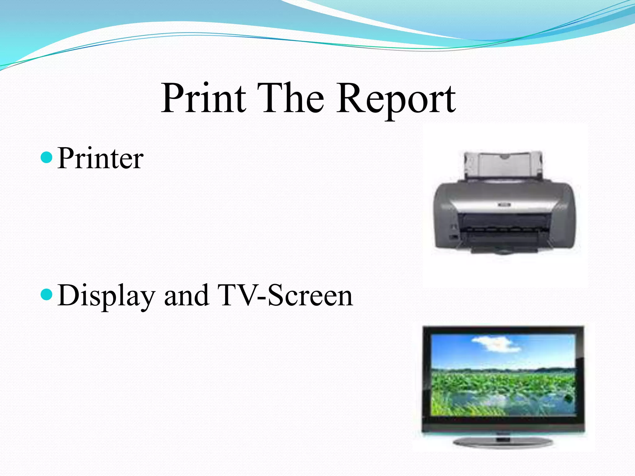 Print The Report
 Printer



 Display and TV-Screen
 