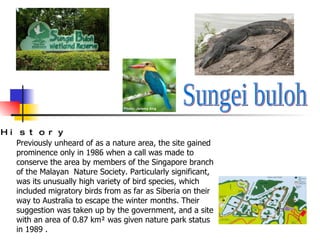 Sungei buloh Previously unheard of as a nature area, the site gained prominence only in 1986 when a call was made to conserve the area by members of the Singapore branch of the Malayan  Nature Society. Particularly significant, was its unusually high variety of bird species, which included migratory birds from as far as Siberia on their way to Australia to escape the winter months. Their suggestion was taken up by the government, and a site with an area of 0.87 km² was given nature park status in 1989 . History   