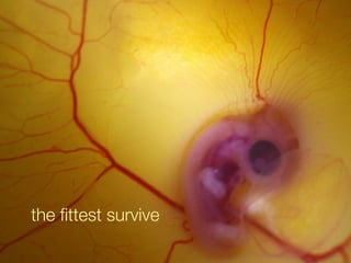 the ﬁttest survive
 