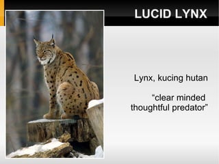 LUCID LYNX Lynx, kucing hutan “clear minded  thoughtful predator” 