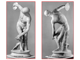 Visió lateral Visió posterior 
 