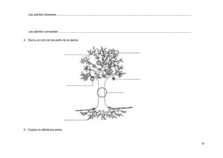 Les plantes silvestres: .....................................................................................................................................................................

Les plantes conreades: ...................................................................................................................................................................
4. Escriu el nom de les parts de la planta:

5. Explica la diferència entre:

13

 