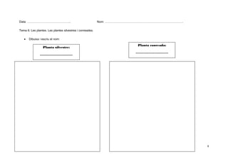 Data: ……………………………………..

Nom: …………………………………………………………………….

Tema 6: Les plantes. Les plantes silvestres i conreades.
•

Dibuixa i escriu el nom:

Planta silvestre:
…………………………

Planta conreada:
…………………………

4

 