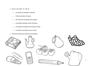 •

Escriu si és veritat V o falç F :
.......... Les plantes es desplacen caminant.
.......... Totes les plantes són iguals.
.......... Els arbres són les plantes més grosses.
.......... Les plantes silvestres creixen als testos.
.......... Les plantes conreades són bones per menjar.
.......... L’enciam és una planta que es conrea.

•

Pinta els productes que obtenim de les plantes:

5

 