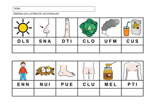 NOM:
ORDENA LES LLETRES DE LES PARAULES

OLS

SNA

DTI

CLO

UFM

CUS

ENN

NUI

PUE

CLU

MEL

PTI

 