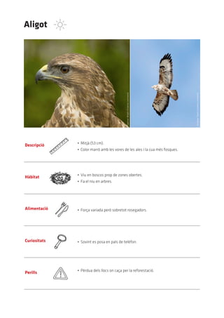 Aligot




                                             Spencer	Wright	(Creative	commons)




                                                                                 Andreas	Trepte	(Creative	commons)
              •	 Mitjà	(53	cm).
Descripció
              •	 Color	marró	amb	les	vores	de	les	ales	i	la	cua	més	fosques.




              •	 Viu	en	boscos	prop	de	zones	obertes.
Hàbitat
              •	 Fa	el	niu	en	arbres.




Alimentació   •	 Força	variada	però	sobretot	rosegadors.




Curiositats   •	 Sovint	es	posa	en	pals	de	telèfon.




              •	 Pèrdua	dels	llocs	on	caça	per	la	reforestació.
Perills
 