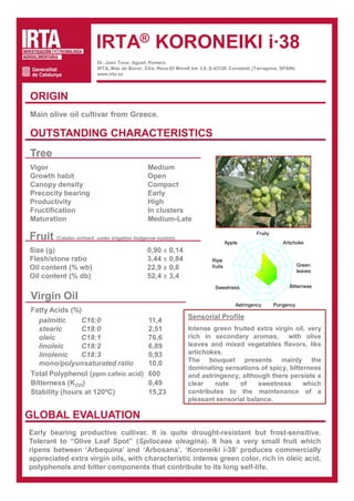IRTA® KORONEIKI i·38
                          Dr. Joan Tous; Agustí Romero
                          IRTA, Mas de Bover. Ctra. Reus-El Morell km 3,8. E-43120 Constantí (Tarragona, SPAIN)
                          www.irta.es




ORIGIN
Main olive oil cultivar from Greece.

OUTSTANDING CHARACTERISTICS
Tree
Vigor                                          Medium
Growth habit                                   Open
Canopy density                                 Compact
Precocity bearing                              Early
Productivity                                   High
Fructification                                 In clusters
Maturation                                     Medium-Late
                                                                                                Fruity
Fruit (Catalan orchard under irrigation hedgerow system)                            Apple                   Artichoke
Size (g)                                       0,90 ± 0,14
Flesh/stone ratio                              3,44 ± 0,84                 Ripe
                                                                                                                    Green
Oil content (% wb)                             22,9 ± 0,8                  fruits
                                                                                                                    leaves
Oil content (% db)                             52,4 ± 3,4
                                                                            Sweetness                         Bitterness

Virgin Oil
                                                                                        Astringency      Pungency
Fatty Acids (%)
                                                                 Sensorial Profile
  palmitic      C16:0                          11,4
  stearic       C18:0                          2,51              Intense green fruited extra virgin oil, very
  oleic         C18:1                          76,6              rich in secondary aromas,        with olive
  linoleic      C18:2                          6,89              leaves and mixed vegetables flavors, like
  linolenic     C18:3                          0,93              artichokes.
                                                                 The bouquet presents mainly the
  mono/polyunsaturated ratio                   10,0
                                                                 dominating sensations of spicy, bitterness
Total Polyphenol (ppm cafeic acid)             600               and astringency, although there persists a
Bitterness (K225)                              0,49              clear    note   of     sweetness      which
Stability (hours at 120ºC)                     15,23             contributes to the maintenance of a
                                                                 pleasant sensorial balance.

GLOBAL EVALUATION
Early bearing productive cultivar. It is quite drought-resistant but frost-sensitive.
Tolerant to “Olive Leaf Spot” (Spilocaea oleagina). It has a very small fruit which
ripens between ‘Arbequina’ and ‘Arbosana’. ‘Koroneiki i-38’ produces commercially
appreciated extra virgin oils, with characteristic intense green color, rich in oleic acid,
polyphenols and bitter components that contribute to its long self-life.
 