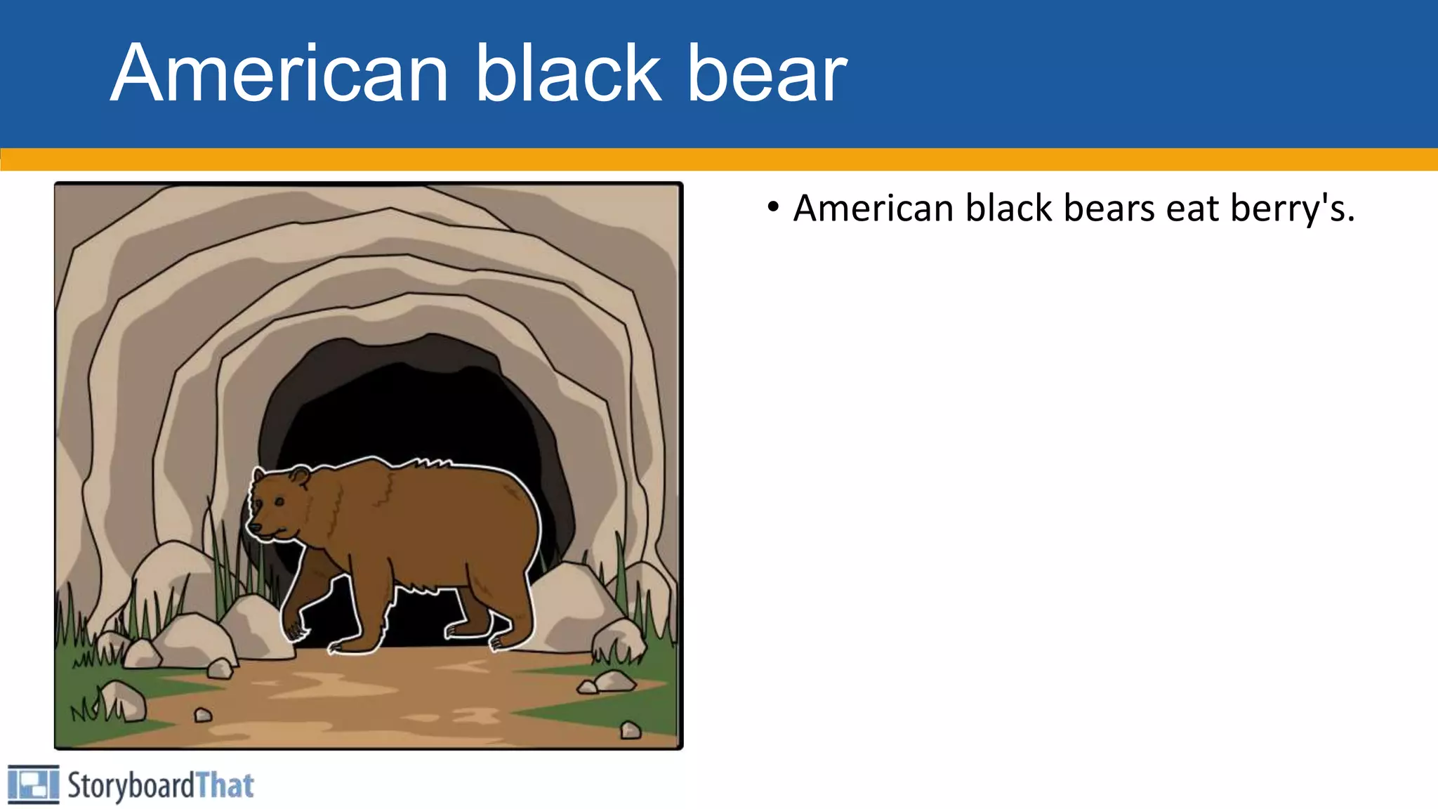 American black bear
• American black bears eat berry's.
 