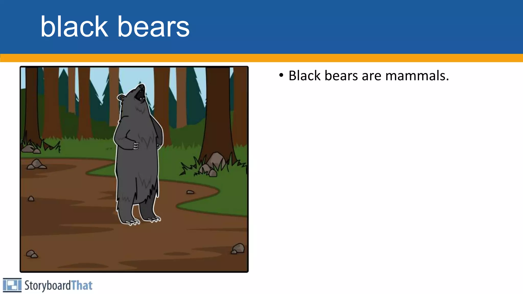 black bears
• Black bears are mammals.
 