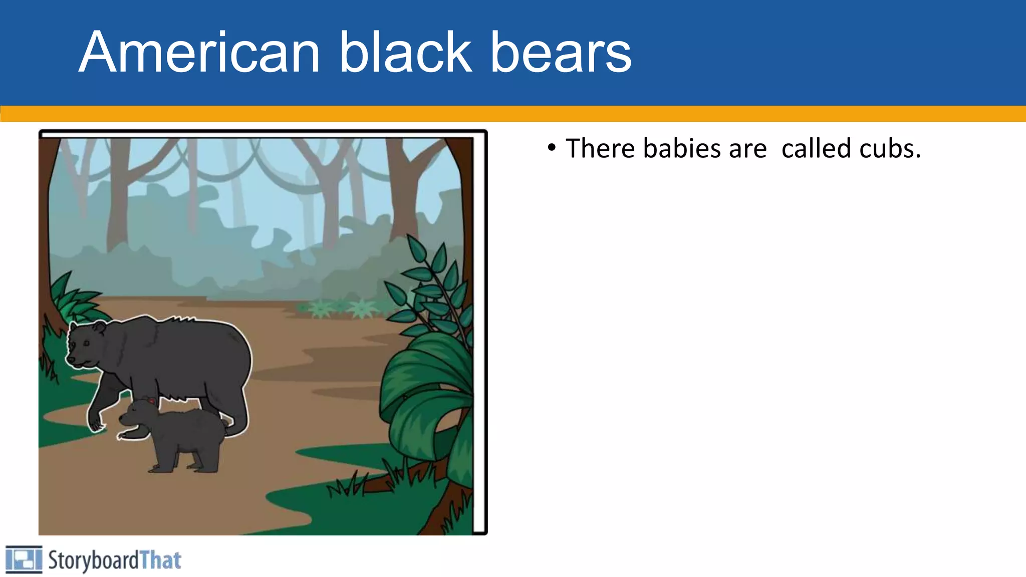 American black bears
• There babies are called cubs.
 