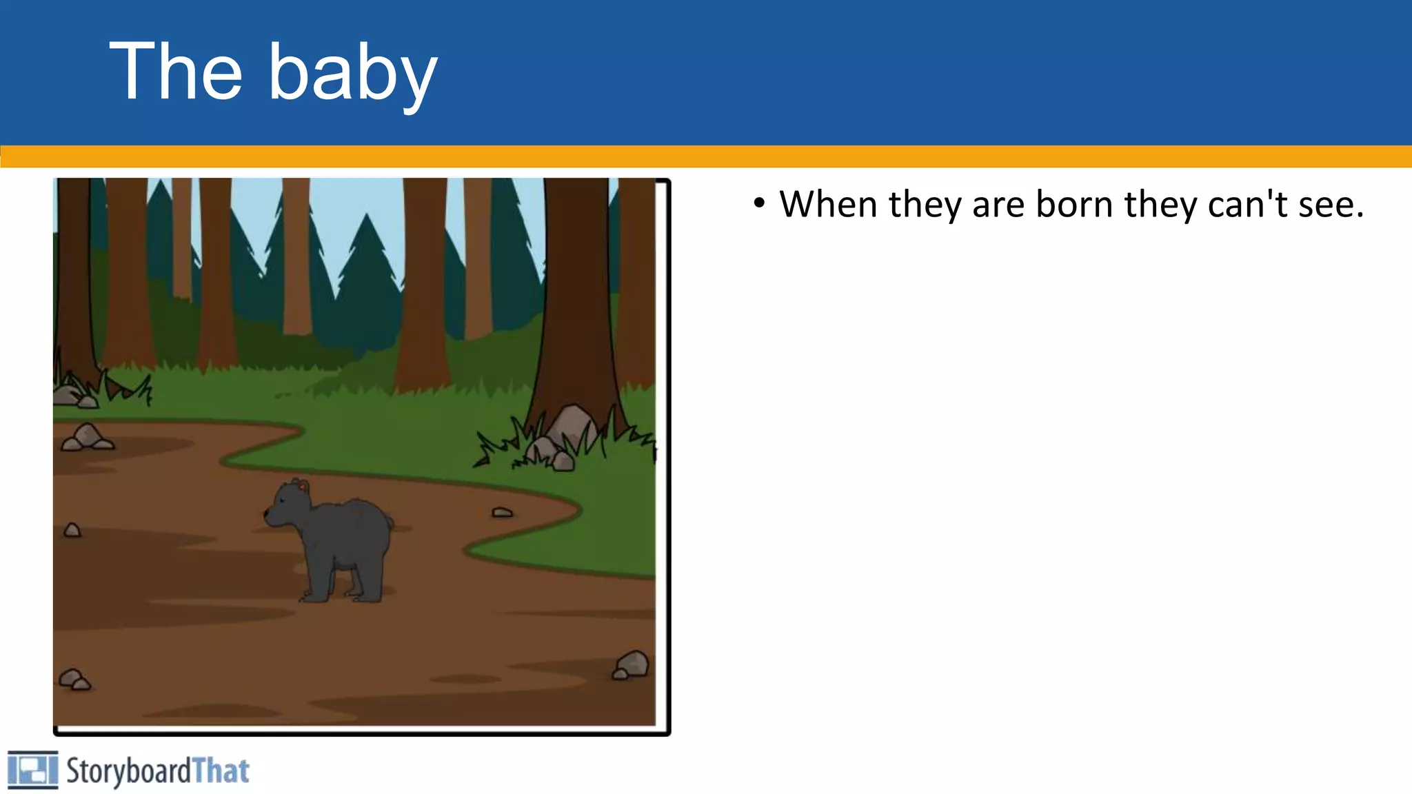 The baby
• When they are born they can't see.
 