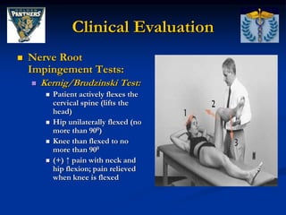 _FIU - Thoracic and Lumbar Spine Special Tests and Pathologies (1 ...